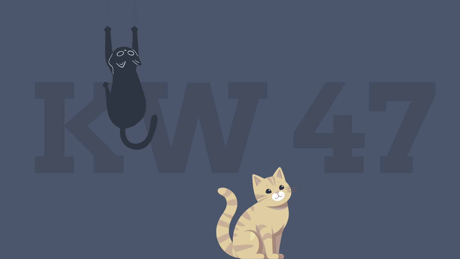 Katzenbild der Woche: KW 47